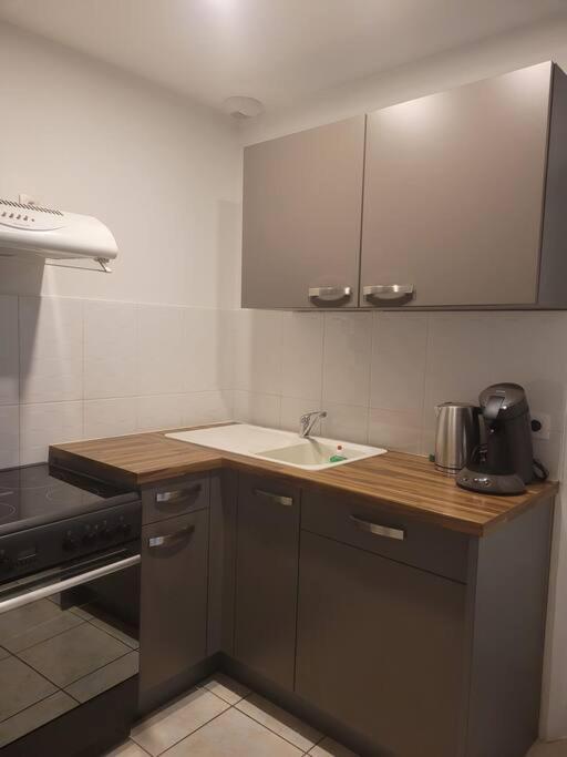 Appartement Sur La Place De Poncin Esterno foto